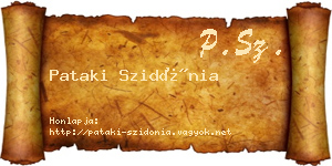 Pataki Szidónia névjegykártya